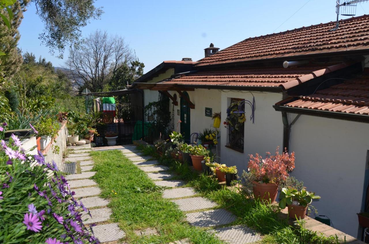 La Pineta Acomodação com café da manhã Pitelli Exterior foto